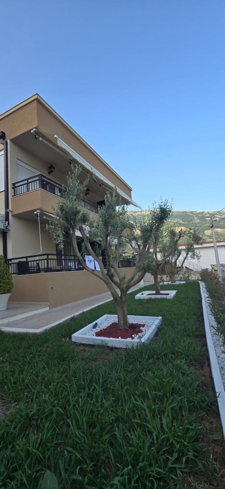 Deluxe Apartmani Vila Pejovic Sutomore Eksteriør billede